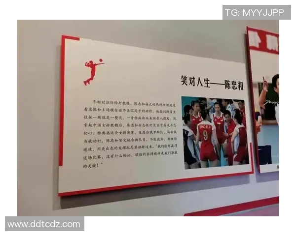 南京排球队运营揭秘：探索成功背后的策略与挑战